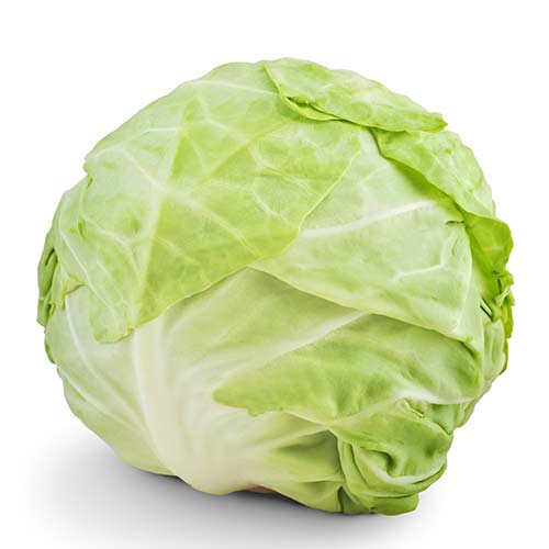CRAUTI BIANCHI OLANDA 硬球菜 10KG